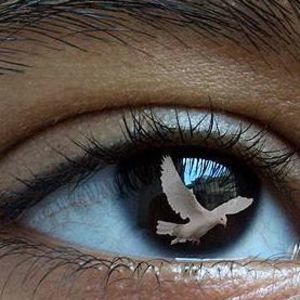 Meet your Posher, Cesar